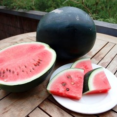 40 Organic Heirloom Sugar Baby Watermelon Seeds – Sweet Garden Classic 6-10 LBs