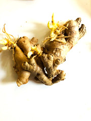 4-5 Sprouted Organic Ginger Roots Heirloom Curcuma Longa Rhizomes Root,Herb