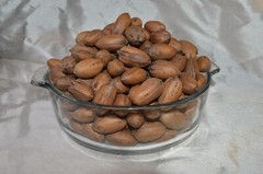 Pecans In-Shell 2.5 lbs Utah Grown Paper Shell Pecan 2023-’24 Crop Free Shipping