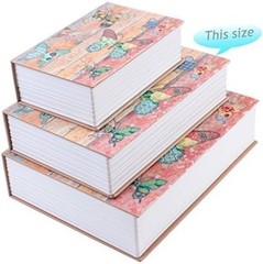 9.5″ x 6.3″ x 2.3″ & 1.4 pounds Book Safe with Key Lock, hidden safe,Metal Bu…