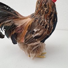 9.5″ Vintage Artificial Natural Feathered Decorative Rooster Rustic Farm Decor