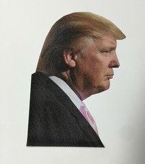 2024 President Donald Trump Car Sticker April Fool Passenger Right Side Window