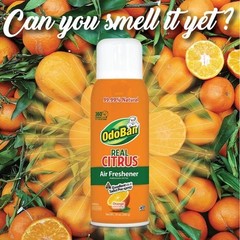 2-Pack OdoBan Real Citrus Orange Air Freshener 360 Continuous Spray, 10 Oz