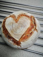 San Francisco live SOURDOUGH STARTER 200yo family heirloom Certified Organic!!