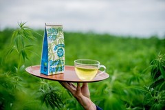 (5 pack) Dutch Harvest – Simply Hemp – Pure hemp tea – Organic 