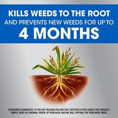 Roundup Dual Action Weed and Grass Killer Plus 4 Month Preventer, 1 gal.