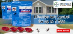 MAXFORCE Bayer ANT Killer — Gel Bait and Arenas/Stations **SAME DAY SHIPPING**