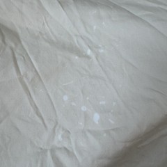 Read Description* Wamsutta Dream Zone Cream King Flat Sheet, Pima Cotton, 750tc