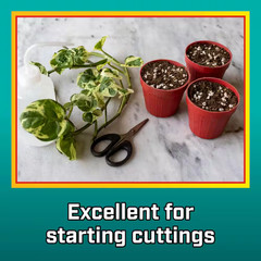8 Qt. Organic Perlite Soil Amendment