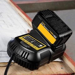 2Pack For DeWalt 20V 20 Volt Max XR 12.0AH Lithium Battery DCB206-2/Dual Charger