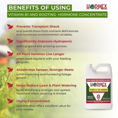 Hormex Vitamin B1 & Rooting Hormone Concentrate – Maximize Plant Growth & Health