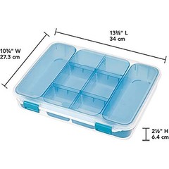 STERILITE Divided Case, Multicolor