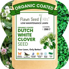 Dutch White Clover Seed, Organic Coated, Eco-Friendly, Low Maintenance