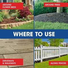 Roundup Weed & Grass Killer4 Concentrate, 1 gal.