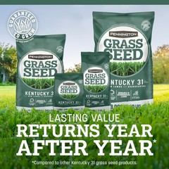 Pennington Kentucky 31 Tall Fescue Grass Seed Sun to Partial Shade 7- 20 lb Bag