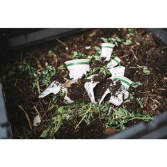 4-Pack, 4.25 In. Eco+Grande Supertunia Vista Bubblegum (Petunia) Live Plant, Pin