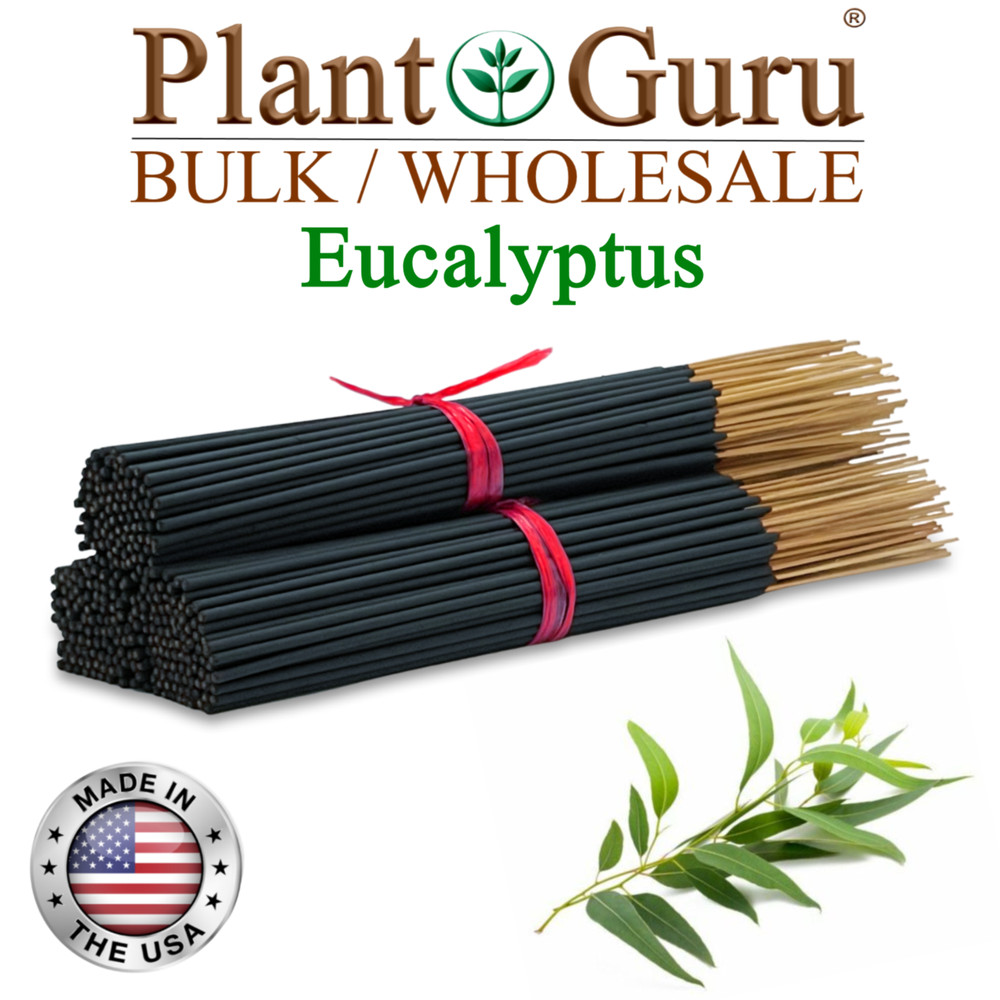 EUCALYPTUS Incense Sticks 11″ Bulk Pack Wholesale Hand Dipped Lot
