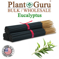 EUCALYPTUS Incense Sticks 11″ Bulk Pack Wholesale Hand Dipped Lot