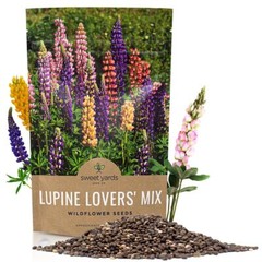 Bulk Lupine Mix Wildflower Seeds 1/4 Pound Bag – Over 4500 Untreated Annual a…