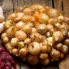 Onion Yellow Bulb Sets 100 Plant Bulbs, Easy to Grow