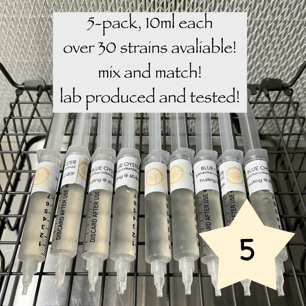 Mushroom liquid culture syringe 5-pack, mix&match