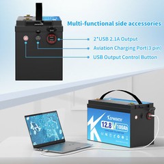 12V 100AH Lithium Battery LiFePO4 BMS 15000 Deep Cycle RV Trolling Motor Marine