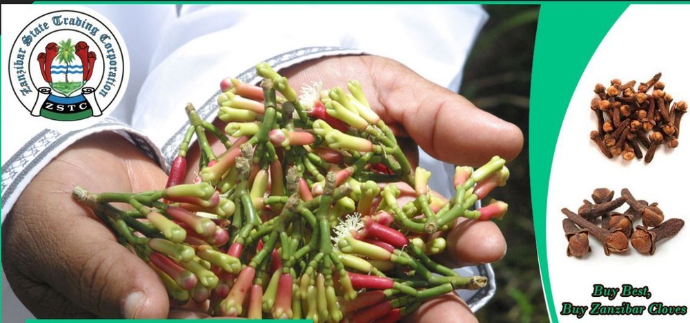 Organic Cloves from Zanzibar 2024 Season