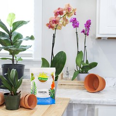 Horticultural Charcoal Plant Hardwood Soil Amendment Orchid Terrarium & Garden