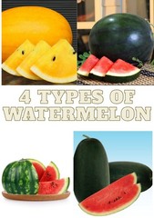 20+ Watermelon Seedss (Citrullus lanatus) Bundling 4 Cultivar Garden Package
