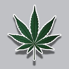 Cannabis Leaf Weed Simple Green Hemp Relaxation 3″ Vinyl Sticker