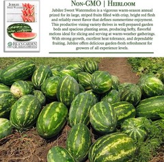 Jubilee Sweet Watermelon Seeds Citrullus lanatus – 50+ Non GMO & Heirloom See…