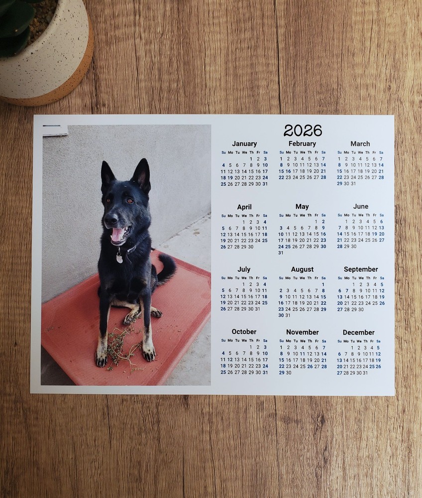 Custom Photo Year At A Glance Landscape Calendar | Start On Any Month