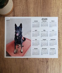 Custom Photo Year At A Glance Landscape Calendar | Start On Any Month