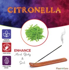 CITRONELLA Incense Sticks 7″ Bulk Pack Wholesale Hand Dipped Lot