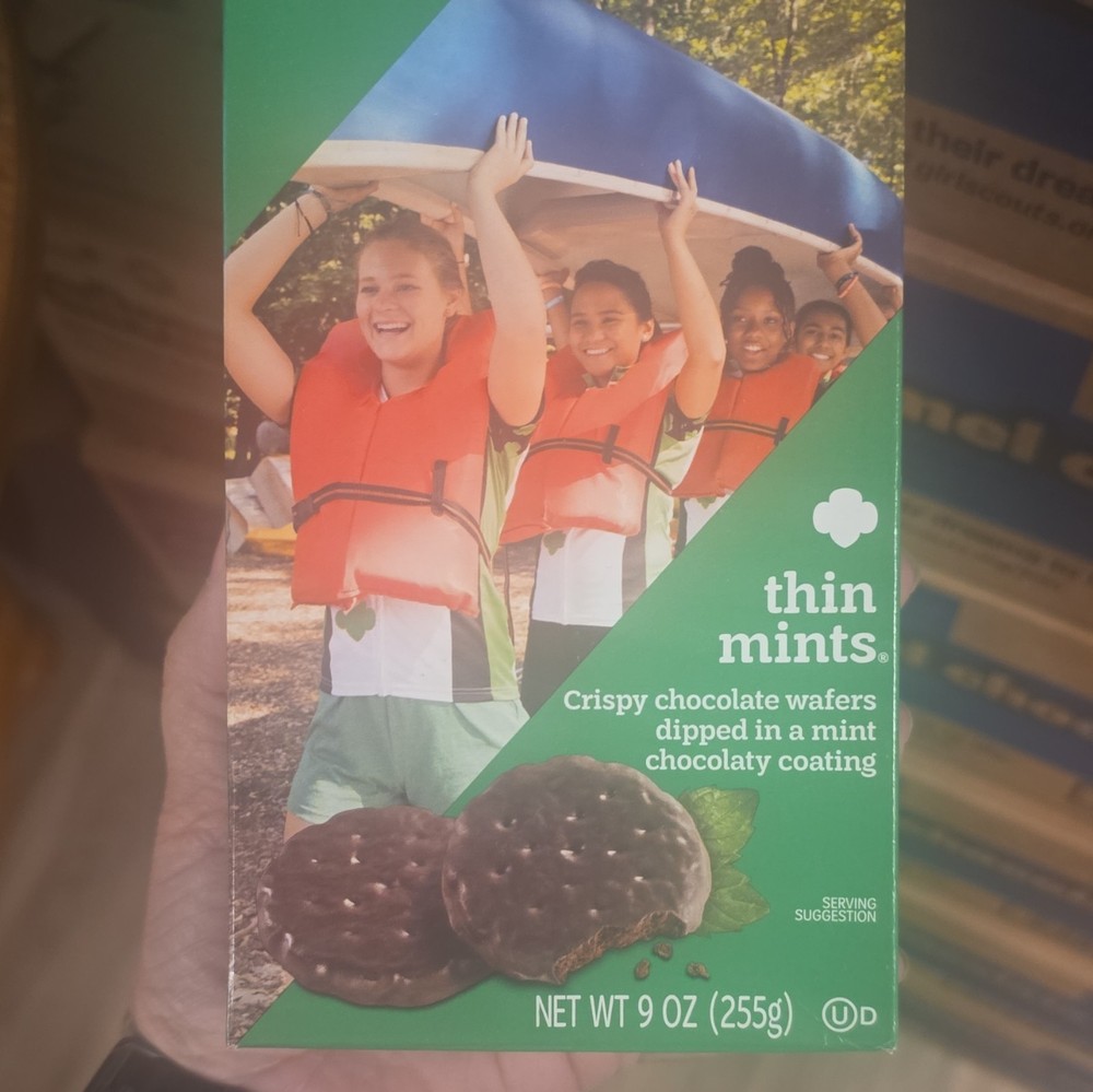 Girl Scouts Thin Mints Cookies Mint Chocolate Crispy Wafers 9 oz Box
