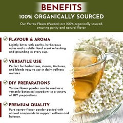 Organic Way Yarrow Flower Powder (Achillea millefolium) – Herbal Tea