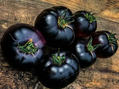 120+ Black Beauty Tomato Seeds —————– HEIRLOOM