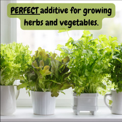 Greensand Soil Amendment; Special Container Gardening Additive