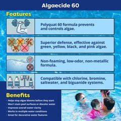 In The Swim Algaecide 60 Plus For Swimming Pools – Non-Metallic, Low Odor,