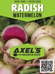 Watermelon Radish Seeds | Non-GMO | Heirloom | Fresh Vegetable Seeds
