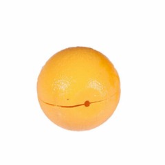 Bug Fruit Fly Traps Sticky Ball Fungus Gnat Pest Control Ball for Indoor Outdoor