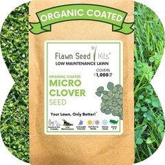 Micro Clover Seed, Organic Coated, Eco-Friendly, Low Growing, Low Maintenance