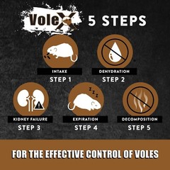VoleX® – Kills All Species of Voles – Safe for Use Around People and Pets