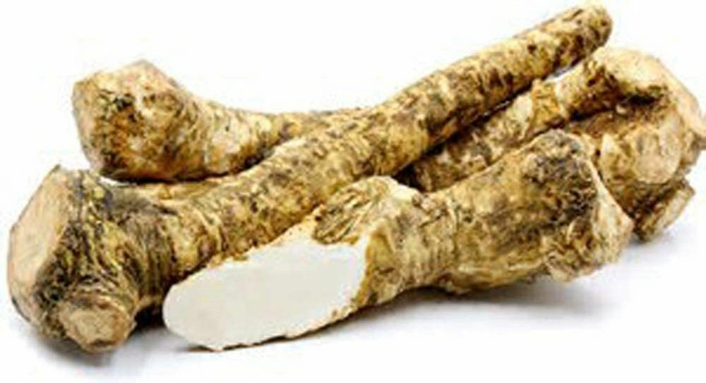 Horseradish Root whole, Ready for Eating, Planting. Can’t Ship internationally.