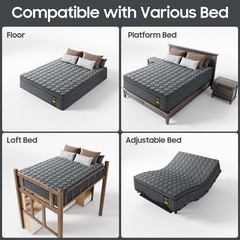 14 Inch Extra Firm Hybrid Mattress Queen Back Lumbar Hip Support