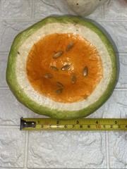 Authentic Vintage Mexico Paper Mache Colorful Faux Fruits & Vegetables Decor 14
