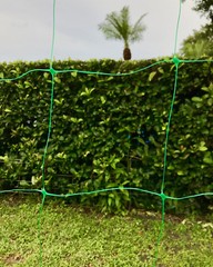 Green Plastic Trellis Netting for Climbing Plants – COMMERCIAL GRADE Trellis Net