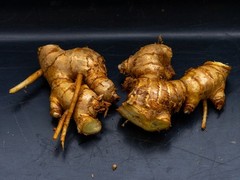 2 Shampoo Ginger Rhizomes (Zingiber Zerumbet) Awapuhi Kuahiwi for planting
