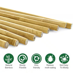 8 Ft. X 3/4 In. Natural Bamboo Garden Plant Stakes for Climbing Support (10-Pack