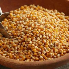 Bulk Carnival King Extra Large Mushroom Popcorn Kernels (select size below)